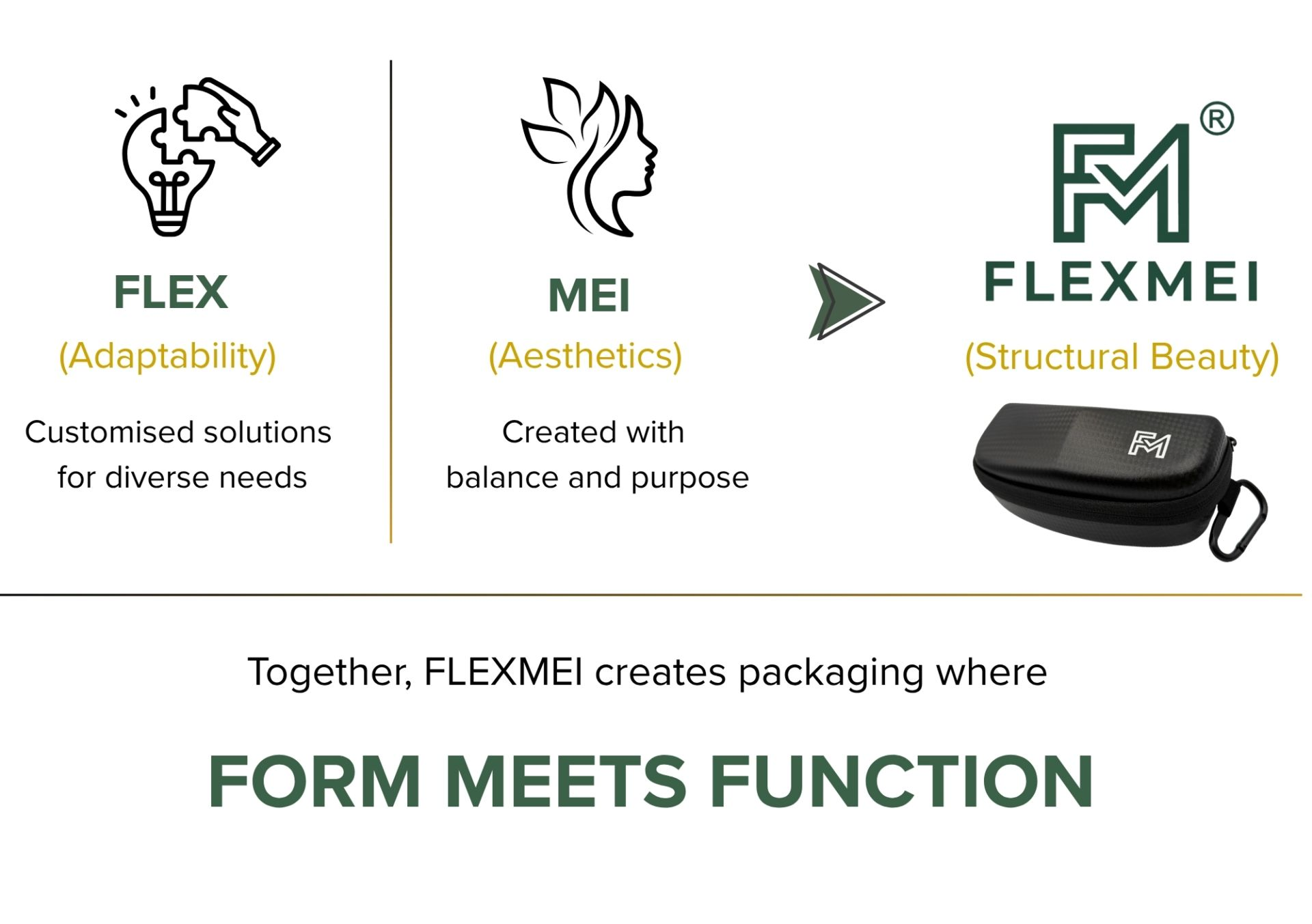 The FLEXMEI Concept